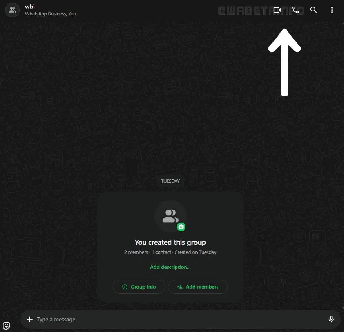 WA_VOICE_VIDEO_CALLING_FEATURE_WEB