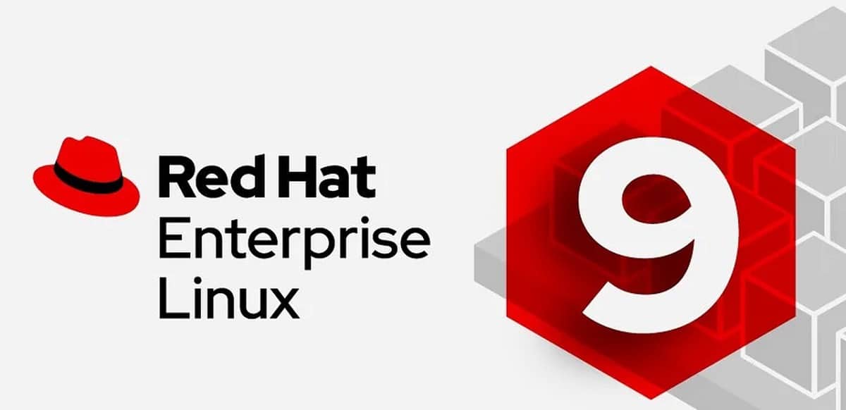 RHEL 9.6 ya está disponible con nuevas funciones, soporte ampliado y mas